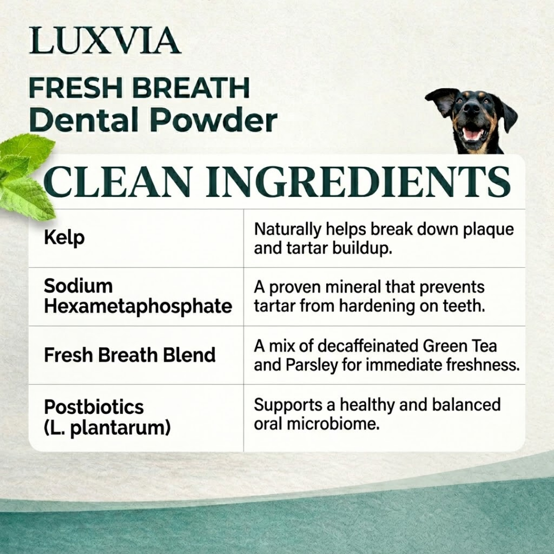 Luxvia Bio-Dental | Advanced Enzymatic Oral Care & Tartar Remover