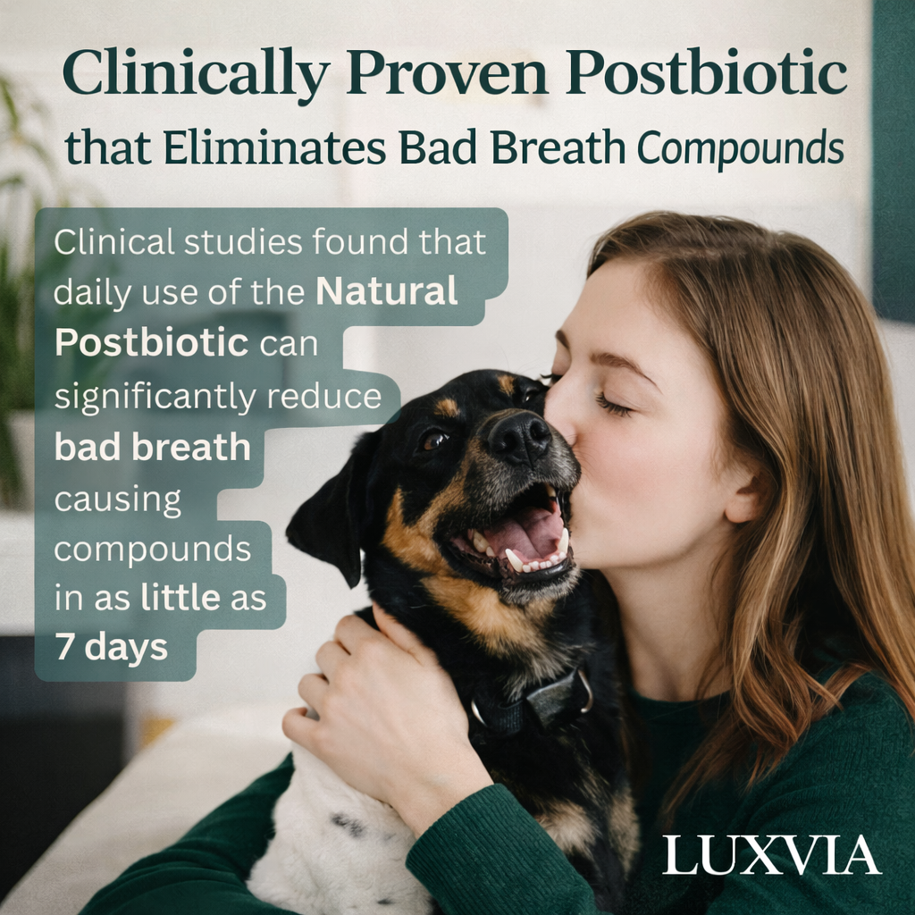 Luxvia Bio-Dental | Advanced Enzymatic Oral Care & Tartar Remover