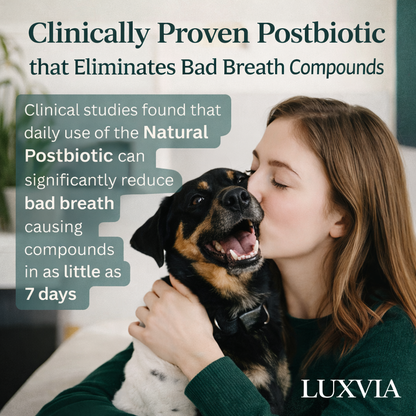 Luxvia Bio-Dental | Advanced Enzymatic Oral Care & Tartar Remover