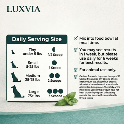 Luxvia Bio-Dental | Advanced Enzymatic Oral Care & Tartar Remover