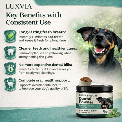 Luxvia Bio-Dental | Advanced Enzymatic Oral Care & Tartar Remover