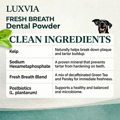 Luxvia Bio-Dental | Advanced Enzymatic Oral Care & Tartar Remover